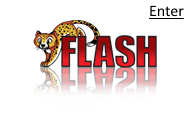 Coding with Flash