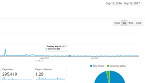 Figure 1: Google Analytics Screenshot. Click to enlarge.